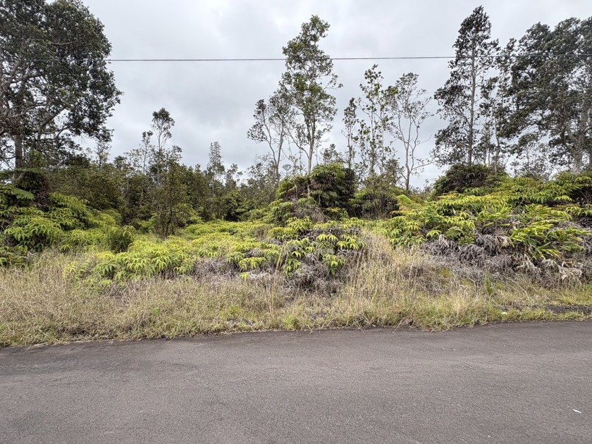Great lot in Volcano! Conveniently located off of Volcano Road - Beach Lot for sale in Volcano, Hawaii on Beachhouse.com