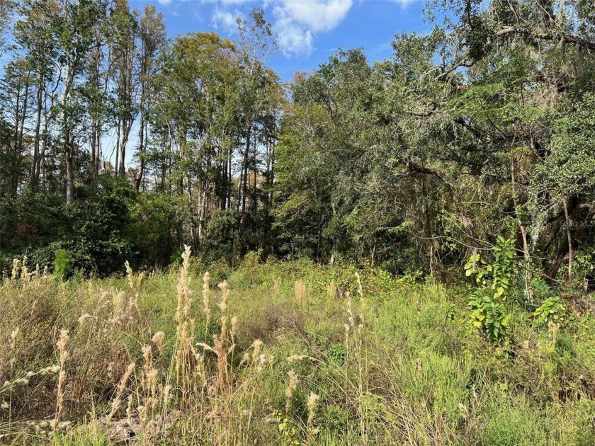 Lots 46&47. This property is in a No Flood zone, high and dry - Beach Lot for sale in New Port Richey, Florida on Beachhouse.com