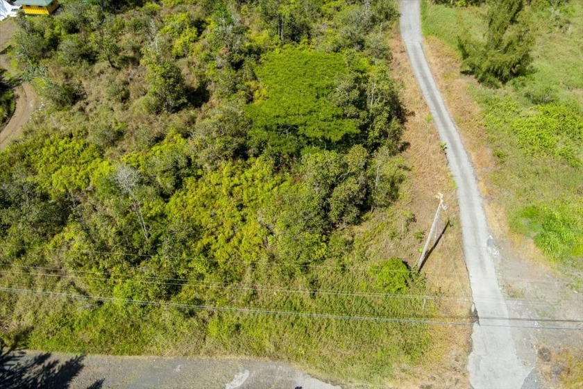 Welcome to your 3 acre slice of paradise out in the country but - Beach Acreage for sale in Kurtistown, Hawaii on Beachhouse.com