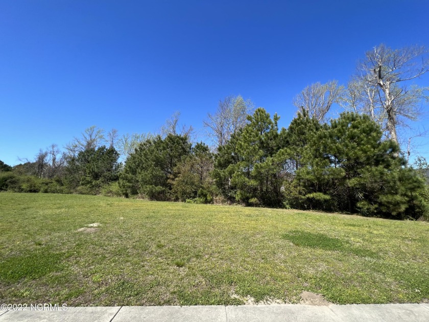 Beautiful and private describes this large .41 acre lot in - Beach Lot for sale in Holly Ridge, North Carolina on Beachhouse.com