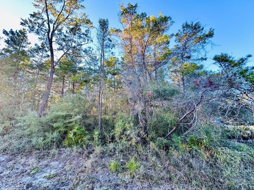 CLOSE TO CARRABELLE BEACH...take a look at this wonderful - Beach Lot for sale in Carabelle, Florida on Beachhouse.com