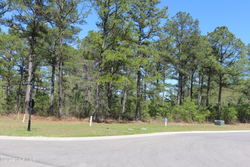 Build your dream home on this beautiful corner lot in the Bluffs - Beach Lot for sale in Leland, North Carolina on Beachhouse.com