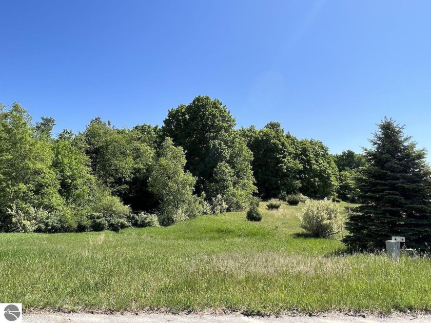 Beautiful 3.27 acre wooded setting for your northern getaway - Beach Acreage for sale in Alden, Michigan on Beachhouse.com