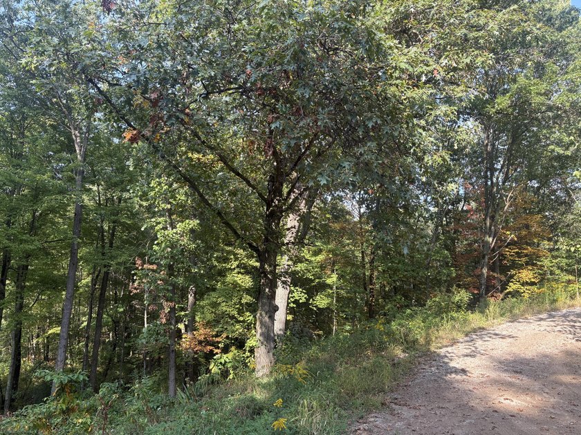 A builder's dream! This exceptional 2.26 acre lot in the heart - Beach Acreage for sale in Norton Shores, Michigan on Beachhouse.com