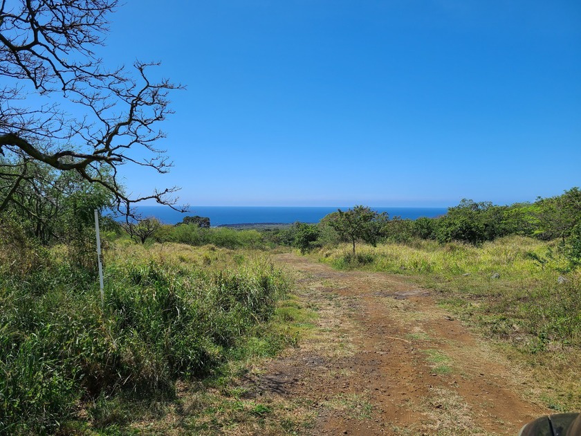 This 23.532 acre parcel has near end of road access, gentle - Beach Acreage for sale in Naalehu, Hawaii on Beachhouse.com