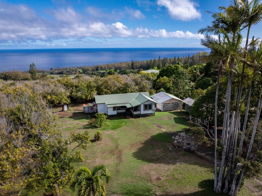 5 + Acres on the Hamakua Coast, Macnut orchard & Plantation - Beach Home for sale in Honokaa, Hawaii on Beachhouse.com