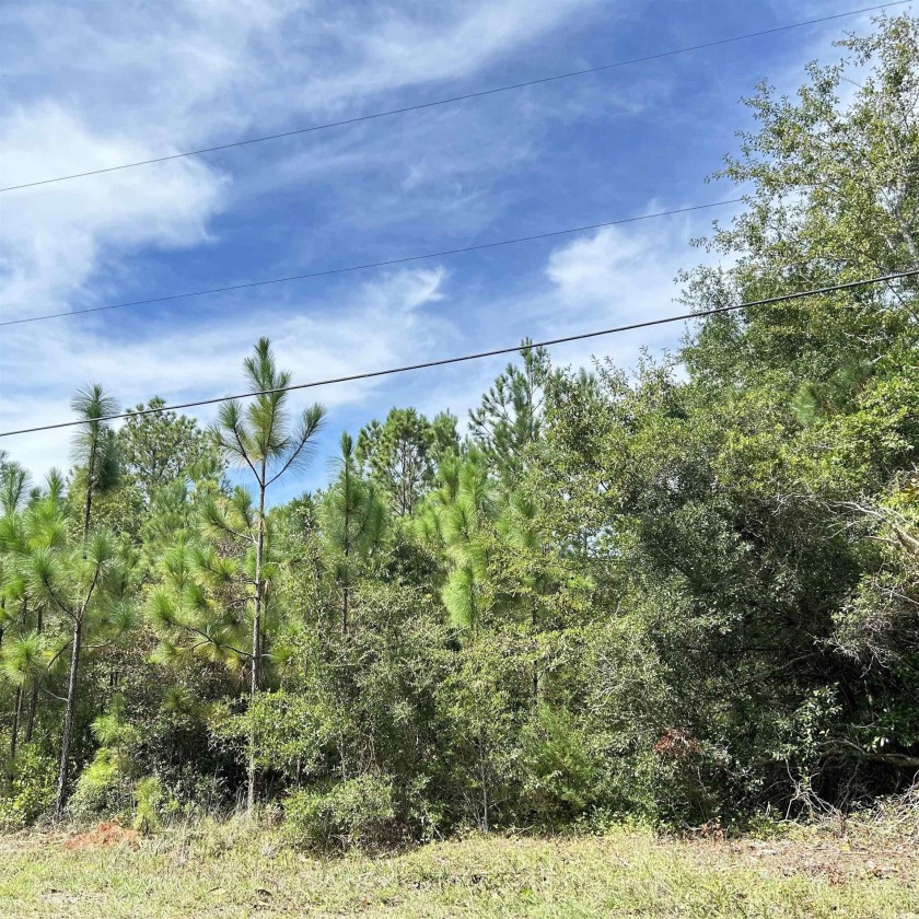 4 Acre wooded, rural/residential property conveniently located - Beach Acreage for sale in Pawleys Island, South Carolina on Beachhouse.com