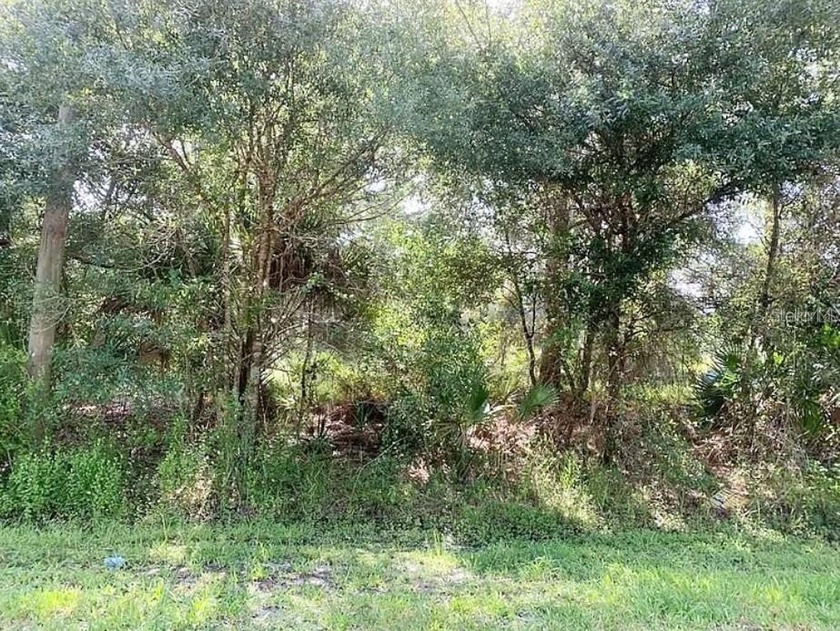 Build your dream home on this incredible vacant lot located in a - Beach Lot for sale in North Port, Florida on Beachhouse.com