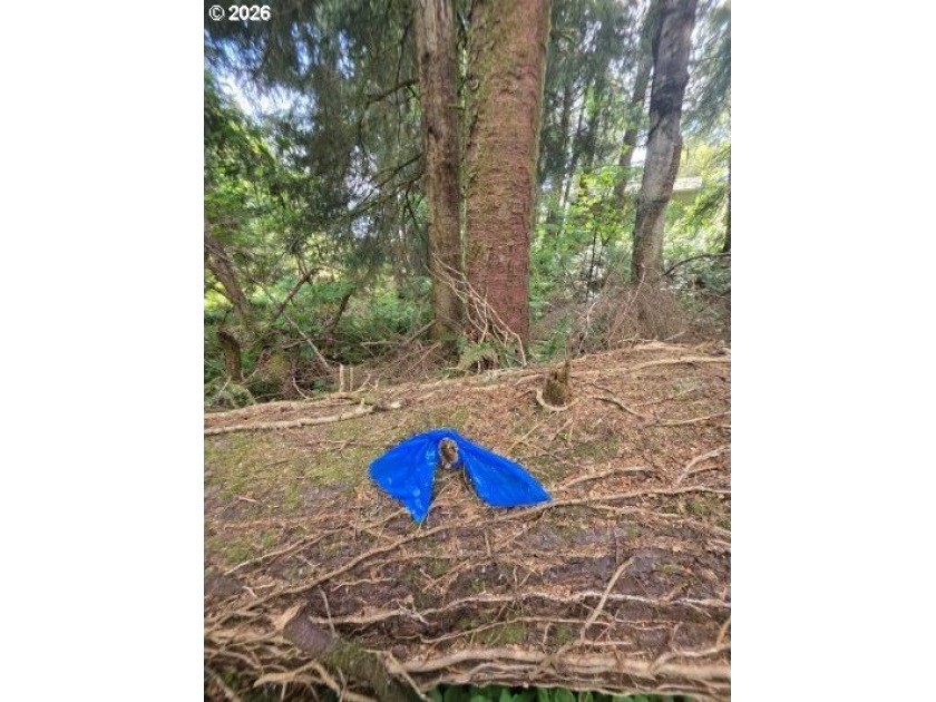 TWO 50'x100' gently sloping lots are affordably priced to sell; - Beach Lot for sale in Cannon Beach, Oregon on Beachhouse.com