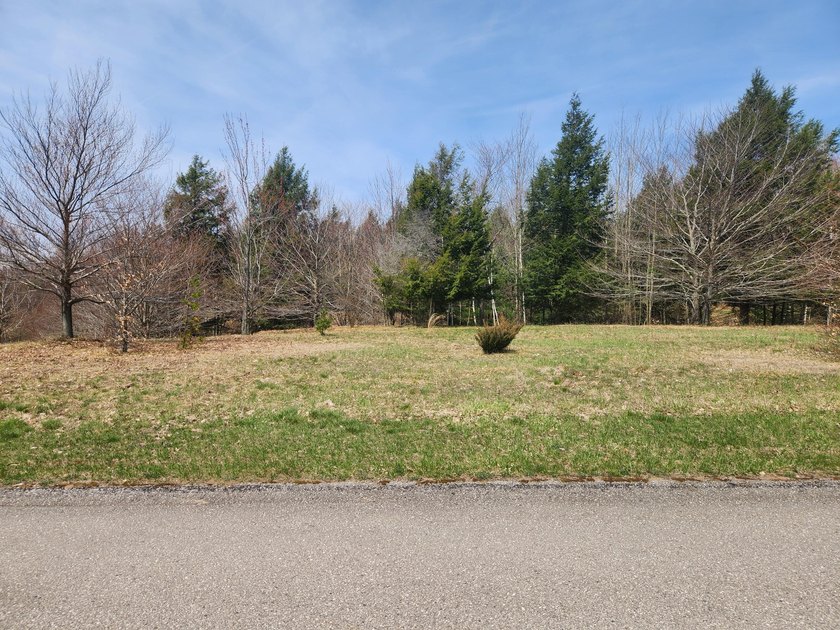 Are you ready to build your dream home? This lot high in Portage - Beach Lot for sale in Onekama, Michigan on Beachhouse.com