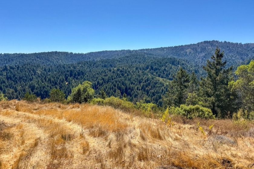 Discover your own private gated sanctuary on this expansive 41+ - Beach Acreage for sale in Ben Lomond, California on Beachhouse.com