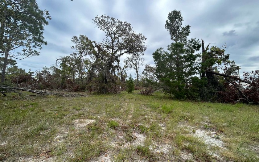 Embrace the Florida coastal lifestyle with this 1-acre lot in - Beach Lot for sale in Perry, Florida on Beachhouse.com