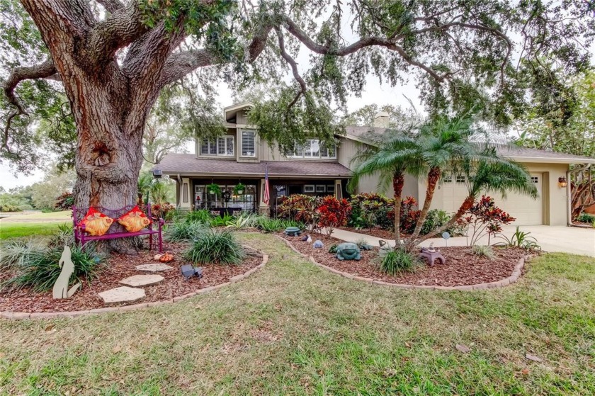 MUST SEE EAST LAKE WOODLANDS TREASURE! A LOVELY WATERFRONT, 4 - Beach Home for sale in Oldsmar, Florida on Beachhouse.com