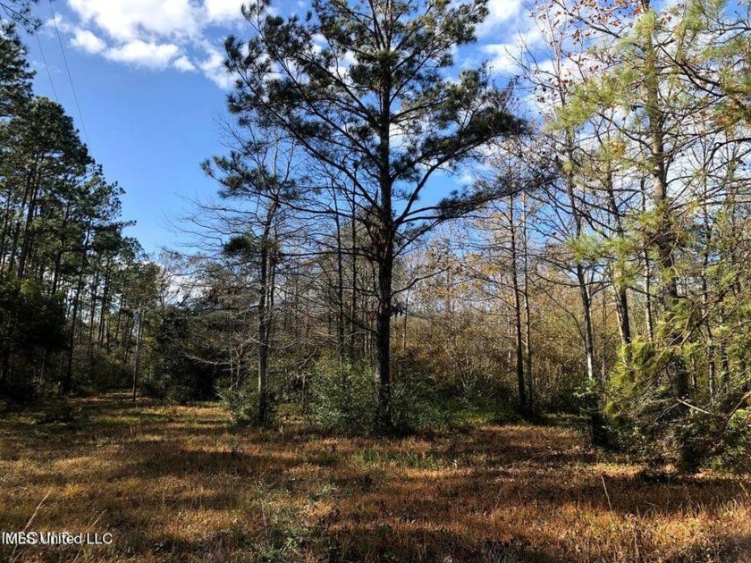 Serene 1.2 acres on Tuxachanie Creek. Electric, well and septic - Beach Lot for sale in D Iberville, Mississippi on Beachhouse.com