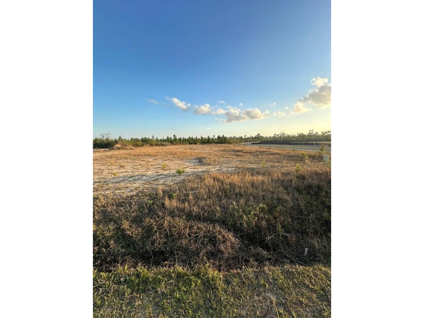 Seven finished lots in Phase I of East Bay.  East Bay is a - Beach Lot for sale in Panama City, Florida on Beachhouse.com