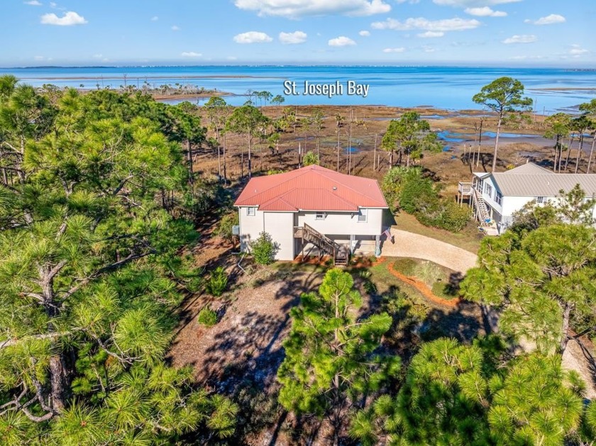 BAYFRONT BEAUTY situated on the head of St. Joseph bay bordering - Beach Home for sale in Port St Joe, Florida on Beachhouse.com