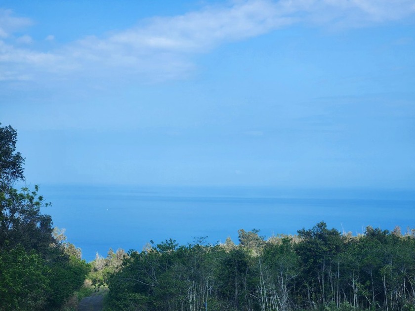 PRIVATE 8 ACRES, SURF & SUNSET VIEWS. ELECTRIC is nearby.Rural - Beach Acreage for sale in Captain Cook, Hawaii on Beachhouse.com