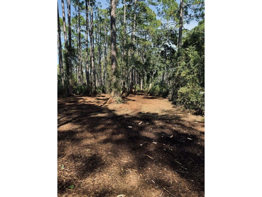 Rare Opportunity - Two Adjoining Parcels Near Tate's Hell Forest - Beach Lot for sale in Carabelle, Florida on Beachhouse.com
