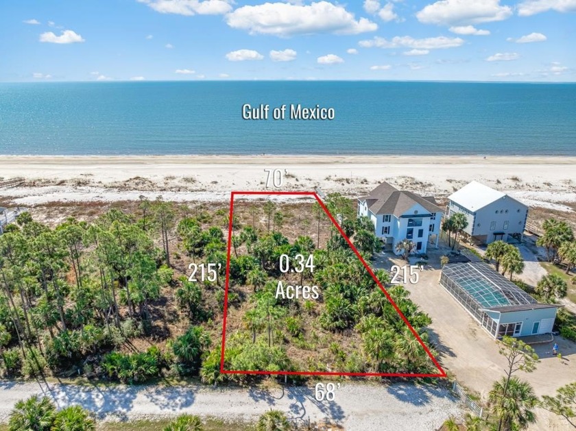 Rare opportunity to aquire the only Gulf front lot in the Indian - Beach Lot for sale in Port St Joe, Florida on Beachhouse.com
