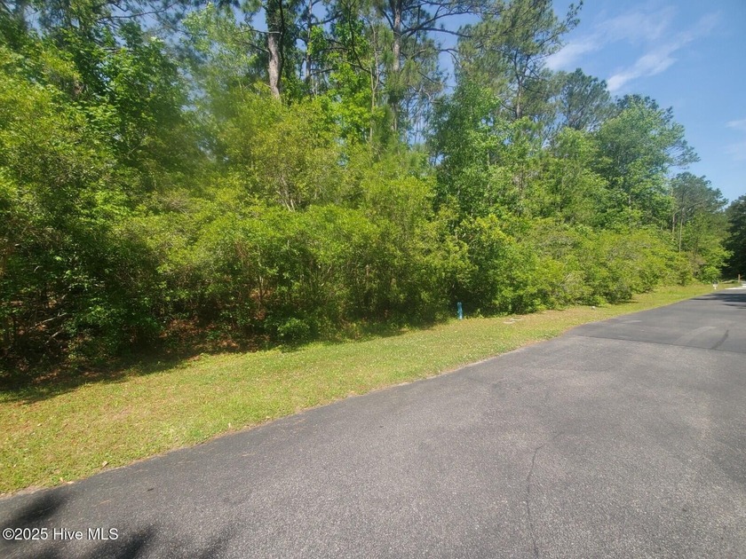 You will not find another lot like this in Hampstead! Almost 8 - Beach Acreage for sale in Hampstead, North Carolina on Beachhouse.com