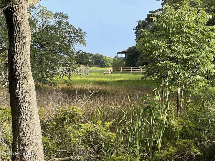 Amazing opportunity to own property within 9 lots of the - Beach Lot for sale in Ocean Isle Beach, North Carolina on Beachhouse.com