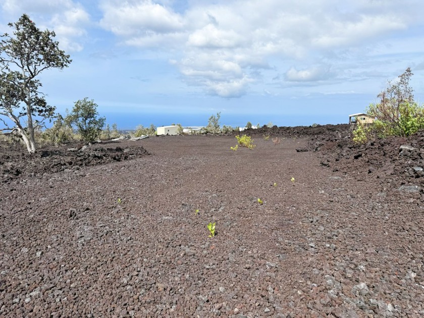Ready for your dream! This lot has already been staked and - Beach Lot for sale in Ocean View, Hawaii on Beachhouse.com