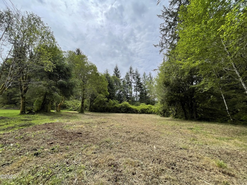 Above the din is your flat buildable, cleared country lot - Beach Lot for sale in Otis, Oregon on Beachhouse.com