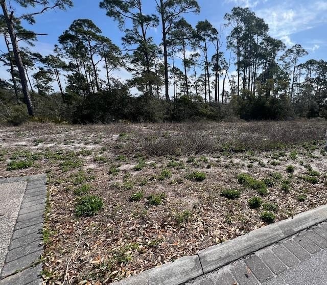 Price Reduction!! Perfect lot near the beach and surrounded by - Beach Lot for sale in Port St Joe, Florida on Beachhouse.com