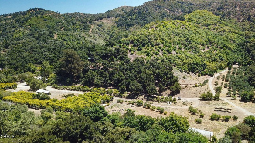 41 acre avocado ranch with multiple structures! Own a classic - Beach Home for sale in Ventura, California on Beachhouse.com