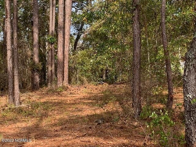 Spend your days looking out over the serene water of Spring Lake - Beach Lot for sale in Southport, North Carolina on Beachhouse.com