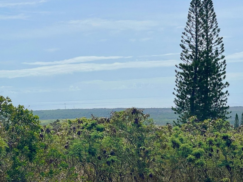 Premier Buildable Lot in Discovery - Beach Lot for sale in Naalehu, Hawaii on Beachhouse.com