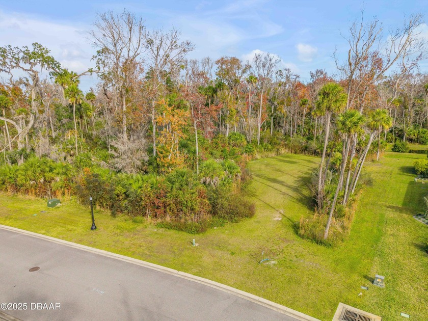 Luxury Estate Homesite in Gated Liberty Village - New Smyrna - Beach Lot for sale in New Smyrna Beach, Florida on Beachhouse.com