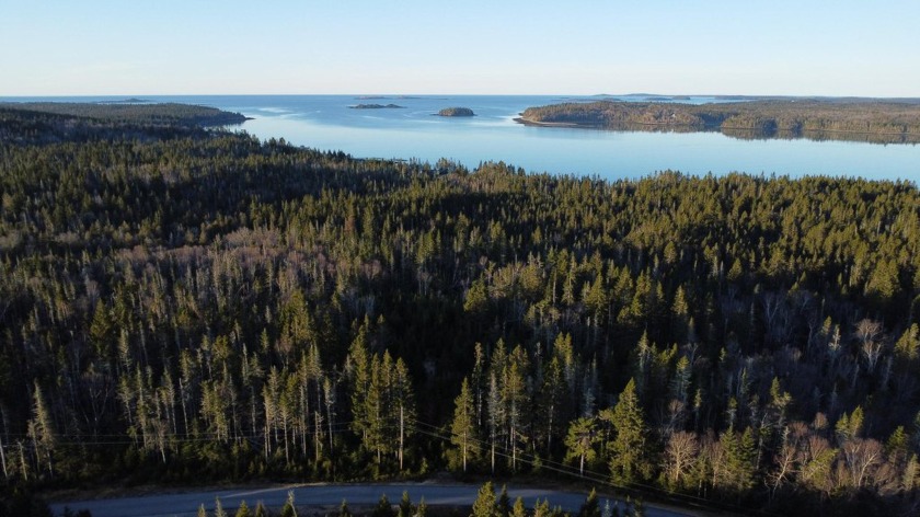5.5 acre, double lot in Machiasport's Yoho Head Homeowner - Beach Acreage for sale in Machiasport, Maine on Beachhouse.com