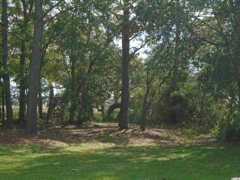 This homesite is one of the last of it's kind available - Beach Lot for sale in Pawleys Island, South Carolina on Beachhouse.com