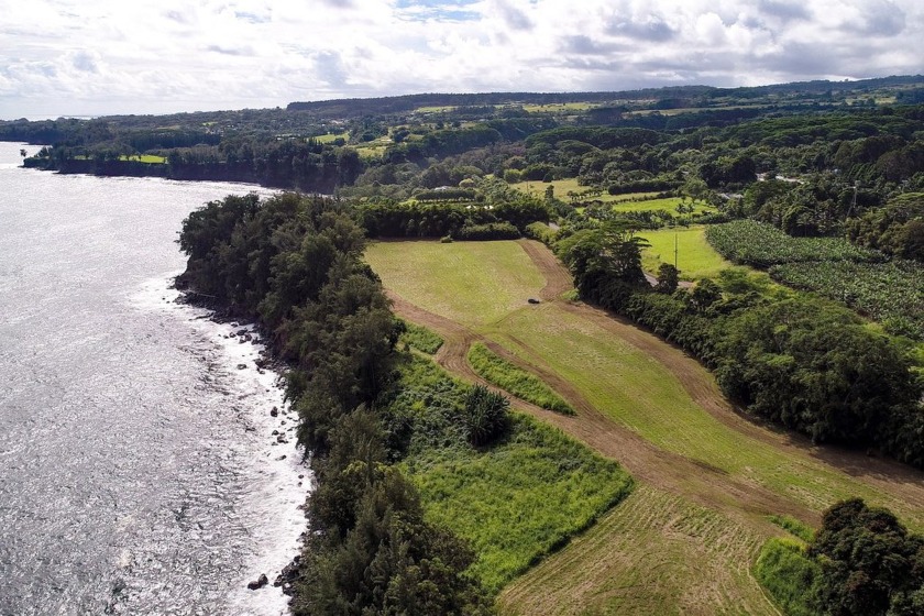 Stunning oceanfront property 15 minutes north of Hilo town! With - Beach Acreage for sale in Hakalau, Hawaii on Beachhouse.com
