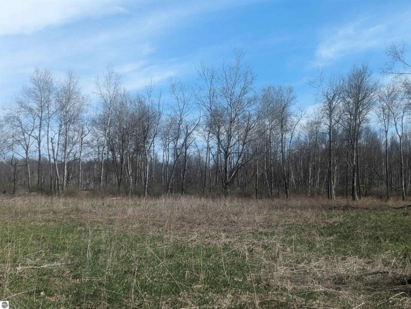 A beautiful 80 acre parcel with a mix of open and wooded land - Beach Acreage for sale in Tawas City, Michigan on Beachhouse.com