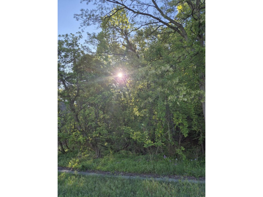 Discover a rare opportunity to own a prime piece of land in the - Beach Lot for sale in Michigan City, Indiana on Beachhouse.com