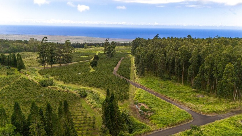 Seeking a sustainable investment opportunity; then welcome to - Beach Acreage for sale in Pahala, Hawaii on Beachhouse.com