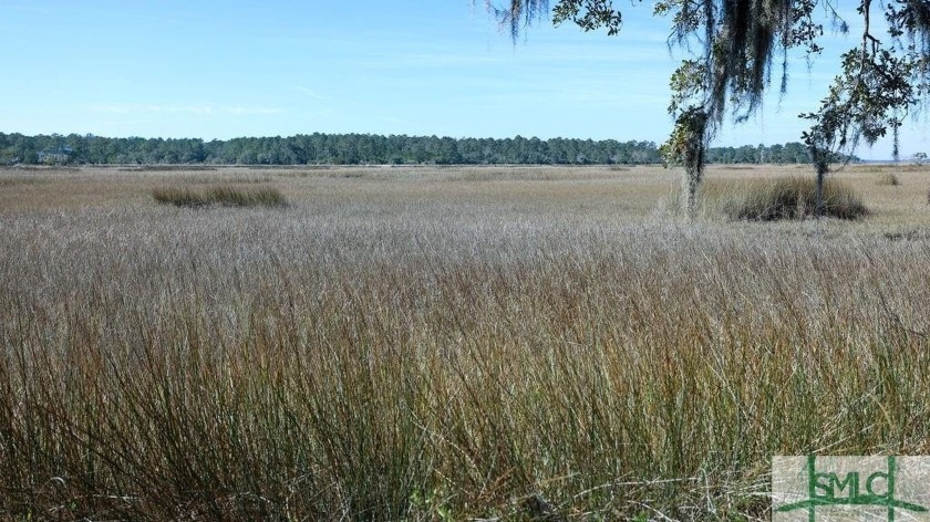 Coastal Georgia Living at it's finest! Beautiful tidal - Beach Lot for sale in Townsend, Georgia on Beachhouse.com