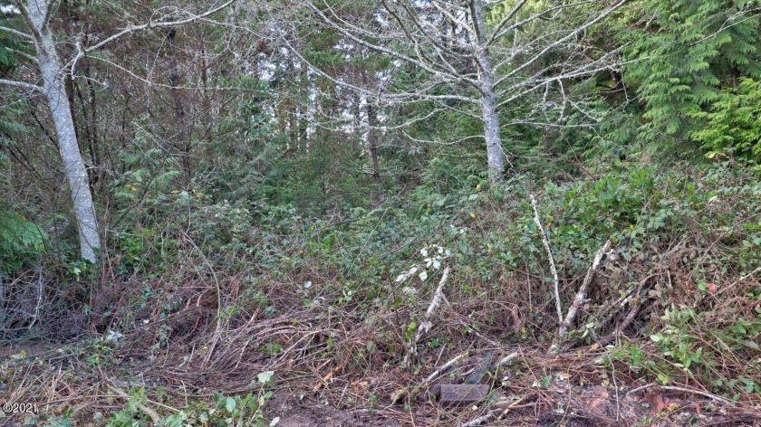 Located minutes from the beach and out of the Tsunami Zone - Beach Lot for sale in Waldport, Oregon on Beachhouse.com