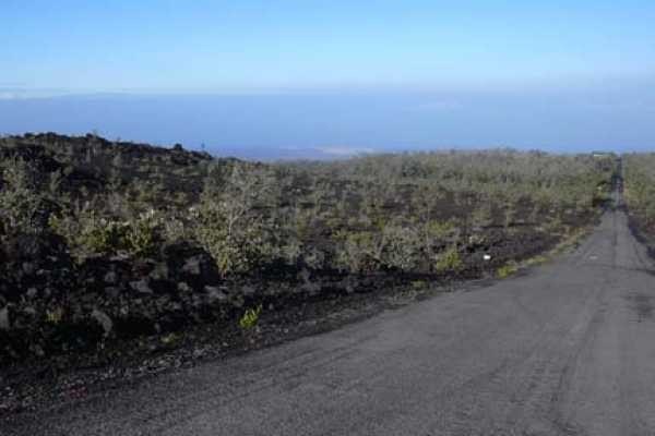 Great lot - slopes up to ridge. walk up and gasp WOW!! when you - Beach Lot for sale in Ocean View, Hawaii on Beachhouse.com