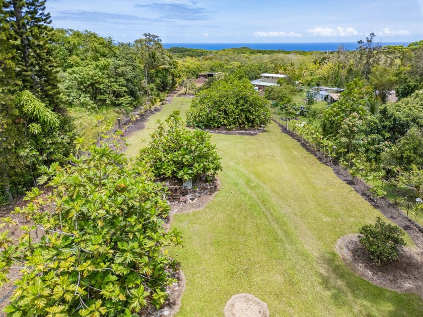 Beautiful 5-Acre Fully Fenced Property in Stunning Opihikao This - Beach Acreage for sale in Pahoa, Hawaii on Beachhouse.com