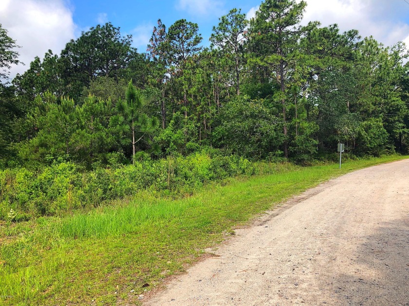 Come build your dream home on this beautiful 1/2 acre lot that - Beach Lot for sale in Southport, North Carolina on Beachhouse.com