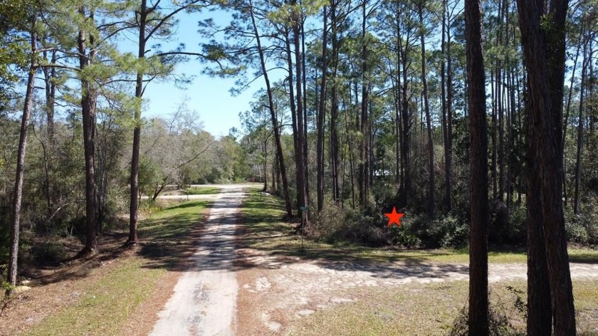 Prime Wooded Corner Lot Near the Bay! This beautifully wooded - Beach Lot for sale in Carabelle, Florida on Beachhouse.com