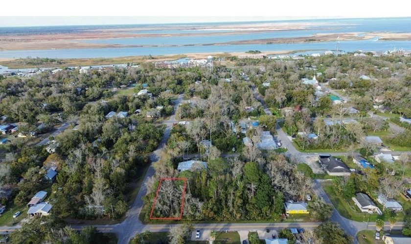 Nestled in Apalachicola's North Historic District, this 60x100 - Beach Lot for sale in Apalachicola, Florida on Beachhouse.com