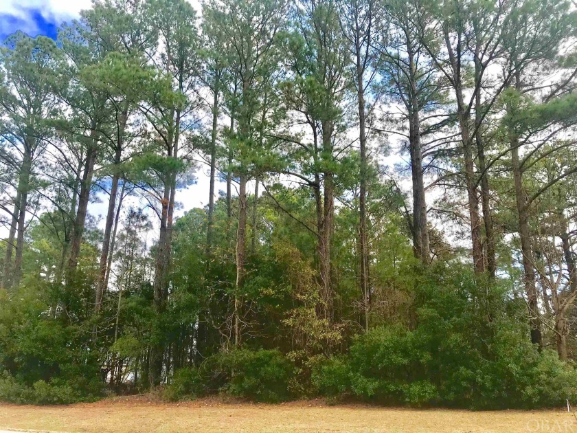 BEST PRICED LOT IN KILMARLIC! 10 MINUTES TO KITTY HAWK BEACHES! - Beach Lot for sale in Powells Point, North Carolina on Beachhouse.com