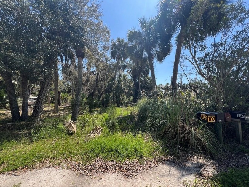 Charming 50x100 lot on a spring-fed canal in the picturesque - Beach Lot for sale in Crawfordville, Florida on Beachhouse.com