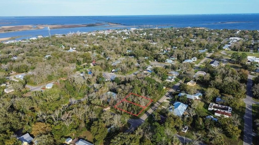Nestled in Apalachicola's charming North Historic District - Beach Lot for sale in Apalachicola, Florida on Beachhouse.com