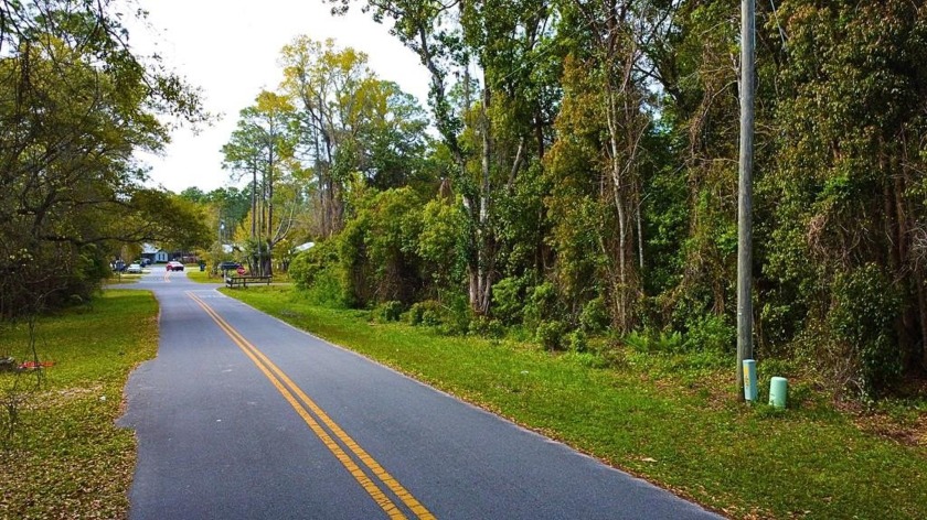 Nestled in Greater Apalachicola, these three adjoining - Beach Lot for sale in Apalachicola, Florida on Beachhouse.com