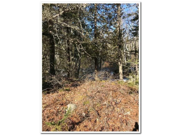 5 Acres of Elevated land near the Village of Corea. (One of most - Beach Acreage for sale in Gouldsboro, Maine on Beachhouse.com